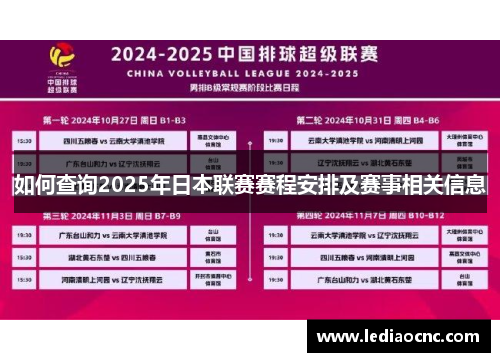 如何查询2025年日本联赛赛程安排及赛事相关信息