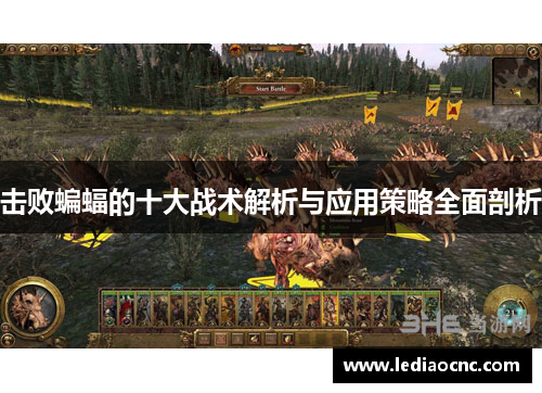 击败蝙蝠的十大战术解析与应用策略全面剖析
