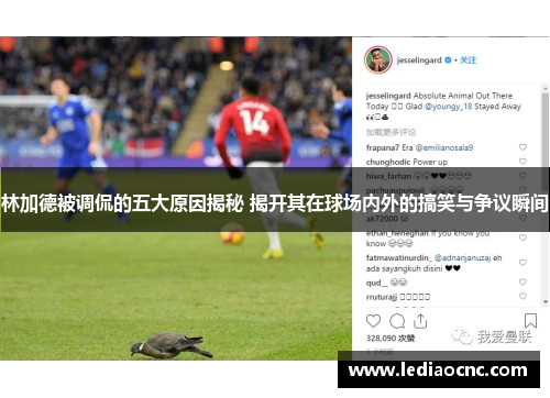 林加德被调侃的五大原因揭秘 揭开其在球场内外的搞笑与争议瞬间
