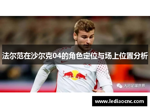 法尔范在沙尔克04的角色定位与场上位置分析